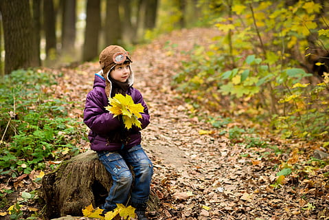 băiat, toamnă, capac, sacou, bebelus, parc, fotografierea copiilor, frunze, pădure, copil, plantă, copilărie, floare, natură, planta cu flori, o persoana, descendenți, teren, copac, haine casual, lungime totală, parte a plantelor, fete, deținere, zi, în aer liber, nevinovăţie, coafura, adolescent, 5K, CC0, domeniu public, fără drepturi de autor