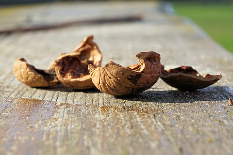 Nuts, Nutshells, Walnut, Nature, Brown, shell, open, empty, selective focus, no people, food and drink, day, close-up, food, healthy eating, wood - material, wellbeing, dry, freshness, still life, focus on foreground, outdoors, table, plant part, vegetable, fruit, nut, ripe, surface level, 4K, CC0, public domain, royalty free