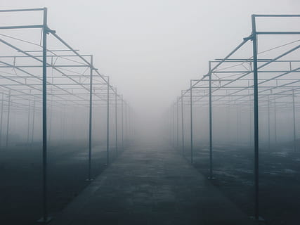 architektoniczny, fotografia, mglisty, metalowe ramy budowlane, minimalistyczny, rama czaszy, mgły, czarny metal, Struktury, mgła, Chmura, Struktura, zamglenie, szklarnia, żadnych ludzi, architektura, z rzędu, malejąca perspektywa, rolnictwo, Natura, droga naprzód, kierunek, dzień, niebo, Znikający punkt, połączenie, na dworze, środowisko, zbudowana struktura, brak, pochmurny, wzrost, szkółki roślin, 2K, CC0, domena publiczna, darmowe zdjęcia