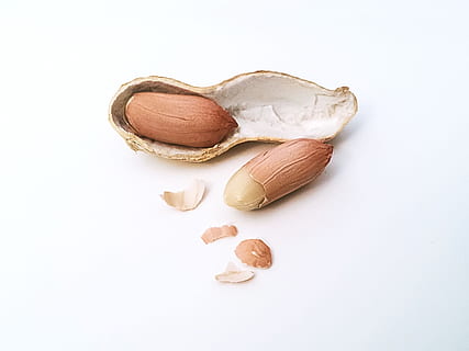 peanuts with shell, Peanut, Nut, Nuts, Shell, peanut shell, nutshell, nutmeat, nuclear, white background, cut out, no people, studio shot, close-up, food, food and drink, freshness, nut - food, indoors, wellbeing, still life, healthy eating, almond, brown, high angle view, group of objects, cracked, snack, 2K, CC0, public domain, royalty free