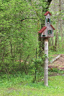 Voliere, Vogelfütterer, Vogel, Nistplatz, Tierschutz, Futter, Natur, Baum, Wald, draußen, Haus, Pflanze, Land, grüne Farbe, die Architektur, Holz - Material, gebaute Struktur, Tag, keine Leute, Wachstum, Gebäudehülle, Gras, Feld, Ruhe, Nicht-städtische Szene, Landschaft, ländliche Szene, 2K, CC0, gemeinfrei, lizenzfrei