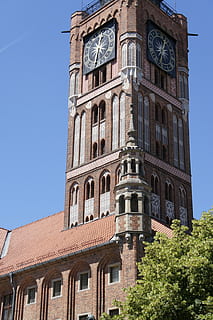 biegać, wieża, zegar, zabytki, wieża, zegar, centrum miasta, stare budowle, architektura, na zewnątrz budynku, wieża zegarowa, zbudowana struktura, żadnych ludzi, niski kąt widzenia, niebo, budynek, czyste Niebo, okno, Natura, dzień, drzewo, historia, przeszłość, roślina, Miasto, na dworze, światło słoneczne, wiara, 4K, CC0, domena publiczna, darmowe zdjęcia