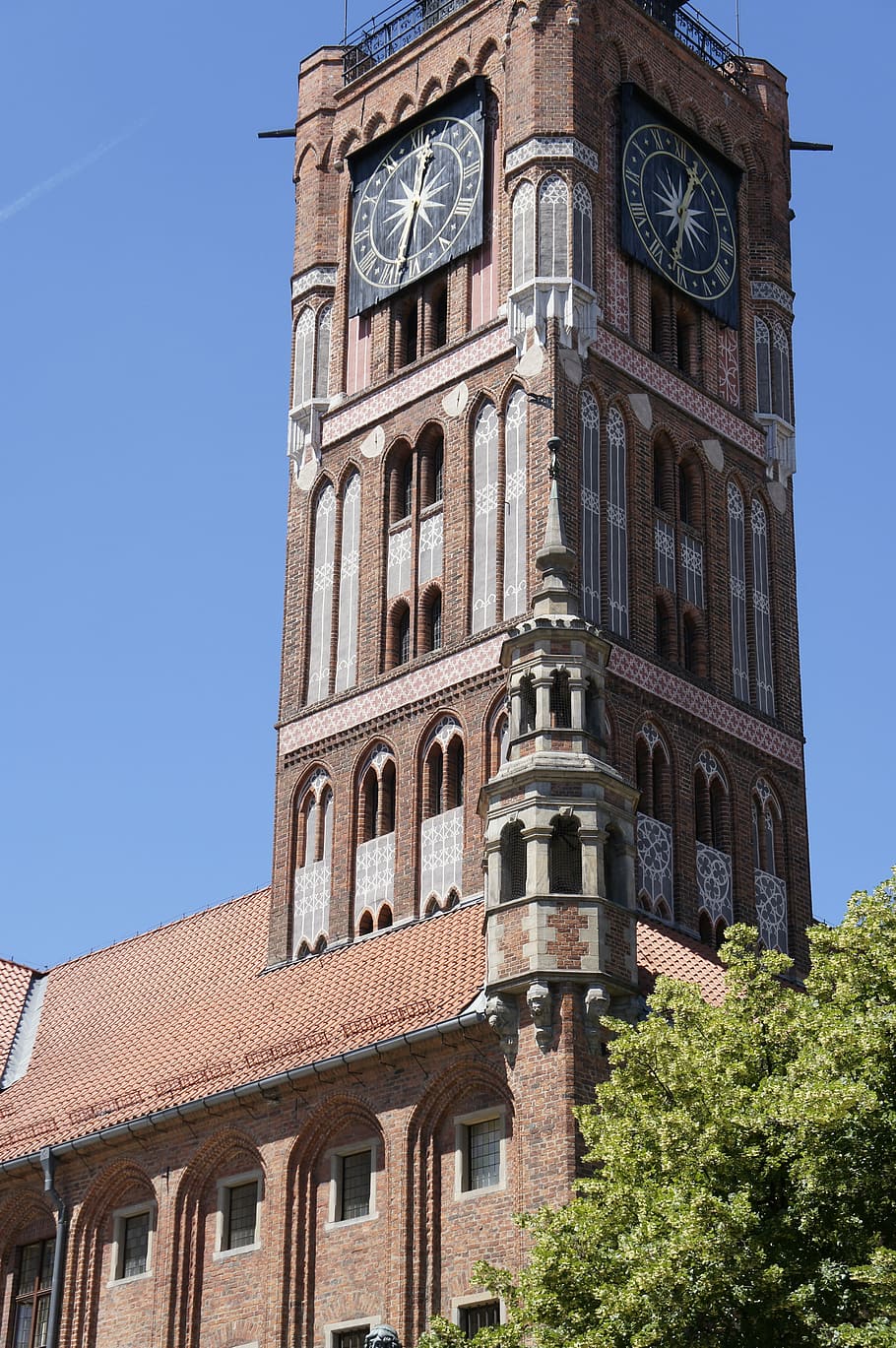 biegać, wieża, zegar, zabytki, wieża, zegar, centrum miasta, stare budowle, architektura, na zewnątrz budynku, wieża zegarowa, zbudowana struktura, żadnych ludzi, niski kąt widzenia, niebo, budynek, czyste Niebo, okno, Natura, dzień, drzewo, historia, przeszłość, roślina, Miasto, na dworze, światło słoneczne, wiara, 4K
