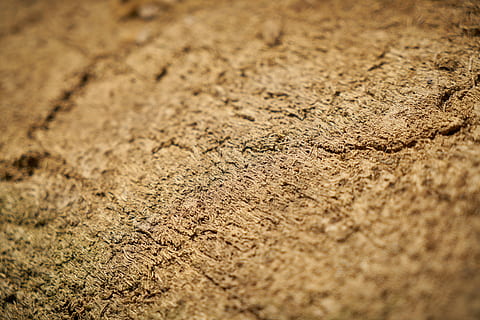 Holz, Baum, Textur, Hintergrund, Hintergründe, abstrakt, Natur, Tabelle, Holzgewebe, Schale, niemand, Dekor, alt, Holzfaserplatten, braun, Makro, Detail, Muster, Bauholz, Gelb, Detailaufnahmen, retro, horizontal, Boden, Design, Motiv, Zusammensetzung, Farbe, texturiert, Schmutz, keine Leute, selektiver Fokus, Land, Nahansicht, Vollbild, Schlamm, Umgebung, Tag, draußen, Sand, schmutzig, trocken, Feld, Rau, Oberflächenniveau, Struktureffekt, Reifen, abstrakte Hintergründe, Rad, trockenes Klima, 8K, CC0, gemeinfrei, lizenzfrei