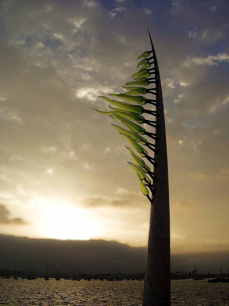 tramonto, albero, paesaggio, cielo, natura, San Diego, scultura in vetro soffiato, colorato, modificare, nuvola - cielo, bellezza nella natura, scenics - natura, la tranquillità, acqua, pianta, nessuno, scena tranquilla, terra, luce del sole, mare, Palma, spiaggia, crescita, ambiente, all'aperto, foglia di palma, 2K