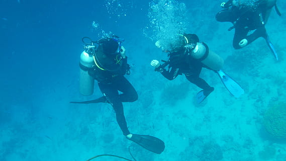 three, divers, swimming, underwater, diving, ocean, water, sea, breathing apparatus, diving bottles, undersea, sport, aquatic sport, scuba diving, adventure, exploration, diving equipment, two people, nature, men, togetherness, diving flipper, leisure activity, people, marine, underwater diving, 4K, CC0, public domain, royalty free