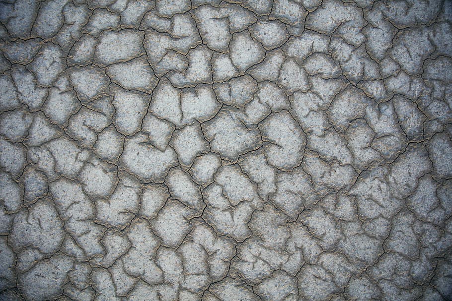 terra esquerdada, primer pla, foto, beix, gris, tèxtil, concret, pis, fons, patró, textura, resum, macro, material, naturalesa, animal, aspre, pell d’animals, cuir, marc complet, cap gent, terra, primer pla extrem, sec, temes d'animals, aigua, dia, patró natural, efecte texturat, marques d’animals, fons abstractes, 8K