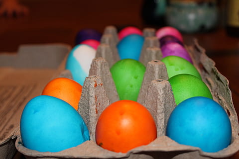 ous, Pasqua, ou de Pasqua, ous de Pasqua, festa, primavera, celebració, verd, groc, colorit, tradició, tradicional, estacional, diversió, rosa, de colors, pintat, abril, celebra, tints, cartró d'ous, vermell, color, pintura, blau, temporada, multicolor, ou, enfocament selectiu, a l'interior, variació, cap gent, elecció, menjar, en fila, primer pla, art i artesania, natura morta, menjar i beguda, gran grup d'objectes, ordre, 5K, CC0, domini públic, lliure de regalies