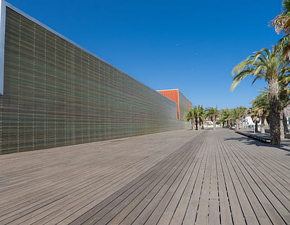 Grün, Palmen, Blau, Himmel, Linien, Perspektive, Konstruktion, die Architektur, Struktur, Straße, gebaute Struktur, Baum, Gebäudehülle, Fußweg, Pflanze, der Weg nach vorn, Natur, Richtung, Palme, Tag, klarer Himmel, zufällige Menschen, tropisches Klima, Stadt, Gebäude, Sonnenlicht, Reiseziele, abnehmende Perspektive, draußen, 2K, CC0, gemeinfrei, lizenzfrei