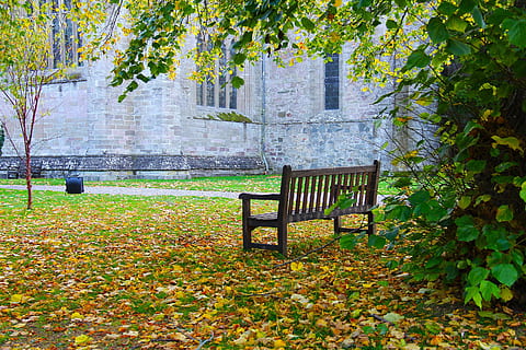 feuille, banc, arbre, la nature, bois, belle, tranquille, Écosse Highlands, l'automne, coloré, parc, L'Europe , pittoresque, attraction, siège, plante, partie de la plante, architecture, vide, structure construite, journée, personne, chaise, extérieur du bâtiment, bâtiment, en plein air, changement, croissance, feuilles, banc de parc, 2K, CC0, domaine public, libre de droits