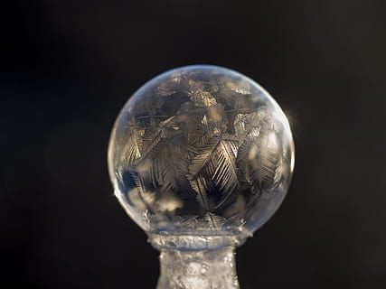 grå fjer kloden, nærbillede foto, klar, glas bold, tæt på, Foto, glas, fjer, dekoration, inde, boble, Frosset, frosne boble, mønster, struktur, sfære, glas - materiale, lys pære, afspejling, ingen mennesker, sort baggrund, dag, studio skud, gennemsigtig, indendørs, enkelt objekt, form, geometrisk form, cirkel, natur, skåret ud, krystal, farvet baggrund, skrøbelighed, 4K, CC0, offentligt domæne, royaltyfrie