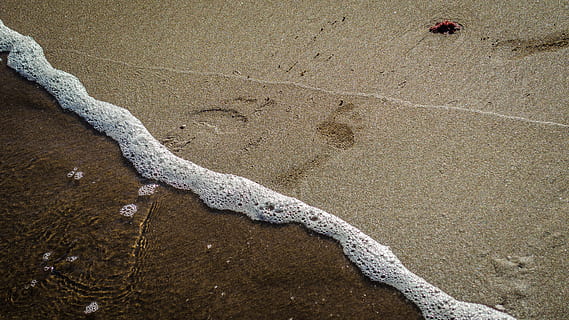 strand sand, fodtryk, bølger, hav, natur, strand, sand, vand, ocean, sommer, kyst, kold, praia mansa, jord, høj vinkel visning, ingen mennesker, dag, krybdyr, udendørs, skønhed i naturen, ro, fodspor, dyr, scenics - natur, vandsport, dyreliv, 4K, CC0, offentligt domæne, royaltyfrie