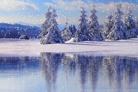 træer, dækket, sne, vinter, snefald, vinterlige, kold, sne landskab, snekrystaller, snedækkede, vand, kold temperatur, scenics - natur, blå, træ, afspejling, natur, skønhed i naturen, ingen mennesker, rolig scene, sø, Frosset, ro, plante, havnefronten, ikke-urbane scene, is, udendørs, sner, snedækket bjerg, nåletræ, 4K, CC0, offentligt domæne, royaltyfrie