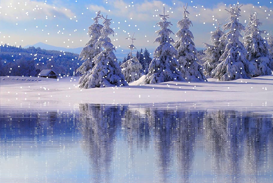 træer, dækket, sne, vinter, snefald, vinterlige, kold, sne landskab, snekrystaller, snedækkede, vand, kold temperatur, scenics - natur, blå, træ, afspejling, natur, skønhed i naturen, ingen mennesker, rolig scene, sø, Frosset, ro, plante, havnefronten, ikke-urbane scene, is, udendørs, sner, snedækket bjerg, nåletræ, 4K