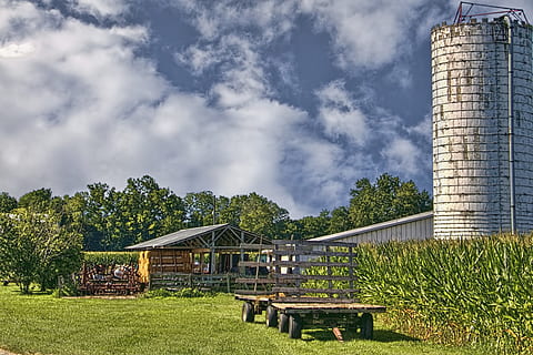 celeiro, rústico, celeiros, ohio, arte digital, rural, cênico, país, campo, cenário, galpão, galpões, Fazenda, fazendas, agricultura, agrícola, casa de fazenda, champaign, município, americana, foto, fotografia, estrutura, Estruturas, sturgell, William Sturgell, conta sturgell, histórico, decoração de casa, prédios, nuvens, céu, árvore, arvores, nublado, céus, ervas daninhas, condado de champaign, urbana, estrutura construída, arquitetura, exterior do edifício, plantar, natureza, construção, grama, nuvem - céu, dia, cor verde, assento, ninguém, ao ar livre, Banco, crescimento, luz solar, terra, 4K, CC0, domínio público, royalty free