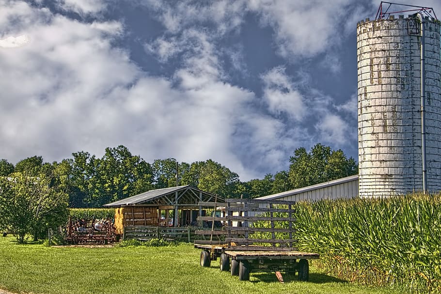 graner, rústic, graners, ohio, art digital, rural, escènic, país, camp, paisatge, cobert, coberts, granja, granges, agricultura, agrícola, Masia, campanar, comtat, americana, foto, fotografia, estructura, estructures, sturgell, William Sturgell, factura sturgell, històric, decoració de la llar, edificis, núvols, cel, arbre, arbres, ennuvolat, cels, males herbes, comtat del campanar, urbana, estructura construïda, arquitectura, exterior de l'edifici, planta, naturalesa, edifici, herba, núvol - cel, dia, color verd, seient, cap gent, a l'aire lliure, banc, creixement, llum solar, terra, 4K