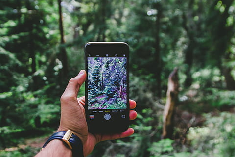 mano di persona, parlando, foto, piante, persona, detenzione, smartphone, presa, immagine, alberi, nero, androide, acceso, cellulare, smart phone, natura, telefono, tecnologia, all'aperto, foresta, mano umana, attrezzatura, tecnologia wireless, bosco, comunicazione, dispositivo di informazione portatile, mano, parte del corpo umano, temi fotografici, una persona, concentrarsi sulle conoscenze acquisite, albero, Fotografare, stili di vita, persone reali, attività, schermo, dito, 4K, CC0, dominio pubblico, privo di copyright