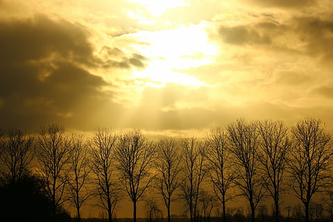 sol, skyer, frem, himmel, solnedgang, sunburst, solstråle, storm, sky - himmel, skønhed i naturen, plante, sollys, ro, træ, scenics - natur, rolig scene, natur, ingen mennesker, udendørs, dramatisk himmel, idyllisk, gul, bare træ, 5K, CC0, offentligt domæne, royaltyfrie