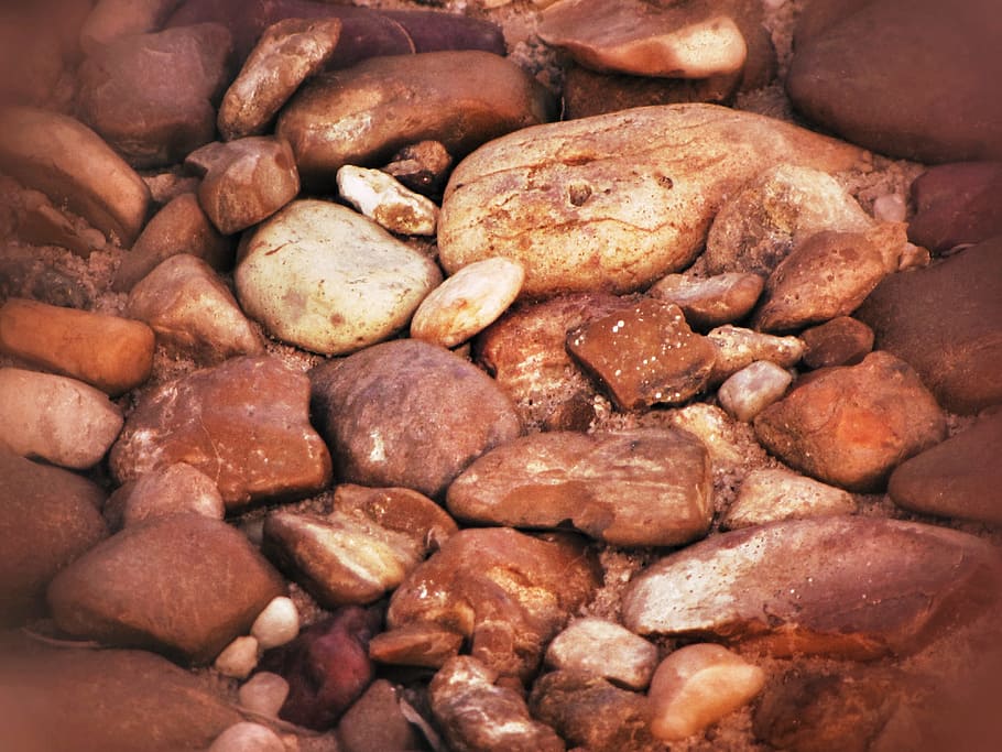 roques, sòl, marró, petit, natural, a l'aire lliure, medi ambient, òxid, rural, terra, còdols, pedres, pedregós, menjar i beguda, menjar, gran grup d'objectes, marc complet, frescor, primer pla, cap gent, carn, abundància, patata, fons, a l'interior, brutícia, arrel vegetal, patata crua, aliments crus, moniato, benestar, berenar, 4K