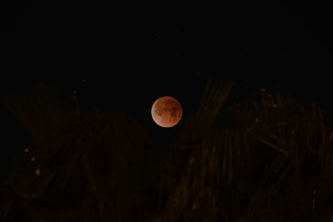 raso, foco, lua, lua de sangue, galáxia, eclipse, sangue, noite, céu, espaço, astronomia, beleza na natureza, lua cheia, círculo, scenics - natureza, forma, forma geométrica, natureza, visão de baixo ângulo, ninguém, tranquilidade, cena tranquila, idílico, lua planetária, céu limpo, Sombrio, ao ar livre, luar, astrologia, espaço e astronomia, 5K, CC0, domínio público, royalty free
