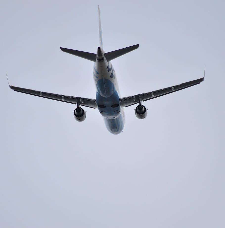 flybe, volo, aereo, decollare, veicolo aereo, cielo, volante, modo di trasporto, viaggio, mezzi di trasporto, cielo sereno, Inquadratura dal basso, copia spazio, nessuno, in movimento, movimento, natura, mezz'aria, giorno, all'aperto, industria aerospaziale, aereo commerciale, aereo privato, 2K
