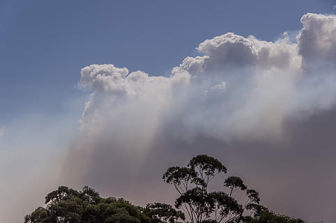 kouř, mraky, bushfire, oheň, nebe, Šedá, modrý, bílý, horizont, stromy, Austrálie, mrak - nebe, Příroda, venku, den, strom, krása v přírodě, rostlina, scenics - příroda, nízký úhel pohledu, nikdo, klid, klidné scény, idylický, růst, slunečního světla, životní prostředí, mimoměstské scény, tropické klima, koruny stromů, 2K, CC0, veřejná doména, bez autorských práv