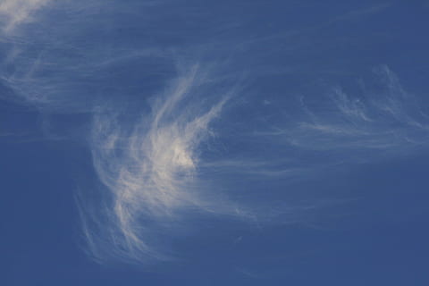 skyer, hvid, åndedrag, tynd, tåget, himmel, blå, sky - himmel, skønhed i naturen, ingen mennesker, natur, scenics - natur, ro, lav vinkel visning, baggrunde, rolig scene, udendørs, dag, miljø, hvid farve, kopiere plads, idyllisk, tjavsede, meteorologi, 4K, CC0, offentligt domæne, royaltyfrie