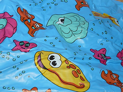 plasticfolie, komische figuren, grappig, gedrukt, zeester, schelp, blauw, water, dier, geen mensen, gewerveld, zee, dierlijke thema's, onderwater-, detailopname, vis, multi gekleurd, natuur, kunst en ambacht, vertegenwoordiging, variatie, binnenshuis, dierlijke representatie, keuze, dierenleven, hoge hoekmening, drijvend op water, onderzees, marinier, 2K, CC0, publiek domein, royaltyvrij