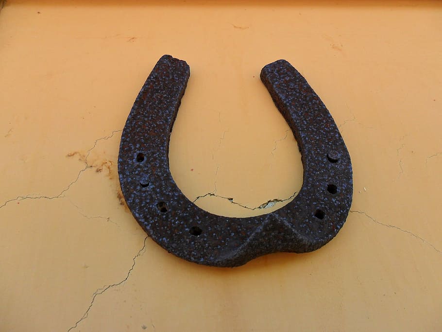 potcoavă, noroc, rugini, nici o persoana, a închide, studio shot, în interior, montare pe perete, un singur obiect, direct deasupra, animal, metal, galben, culoare neagră, târâtoare, vedere în unghi mare, un animal, animale sălbatice, texturată, număr, culoare portocalie, animale tematice, 2K