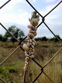conchas, cáscara, caracol, verde, paisaje, naturaleza, ecología, ambiente, campo, fuera de, centrarse en primer plano, cielo, nadie, cerca, día, barrera, seguridad, límite, proteccion, de cerca, la seguridad, metal, al aire libre, cable, colgando, tierra, nube - cielo, 2K, CC0, dominio público, libre de derechos