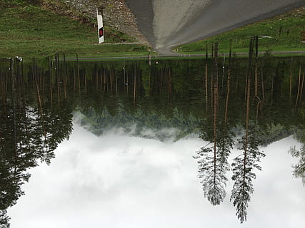 trees beside road, tree, path, mountain, tall, sign, outdoor, nature, road, pine, somber, gloomy, foggy, fog, intersection, road sign, plant, water, scenics - nature, beauty in nature, reflection, tranquility, lake, tranquil scene, land, non-urban scene, no people, green color, growth, day, environment, landscape, outdoors, 4K, CC0, public domain, royalty free