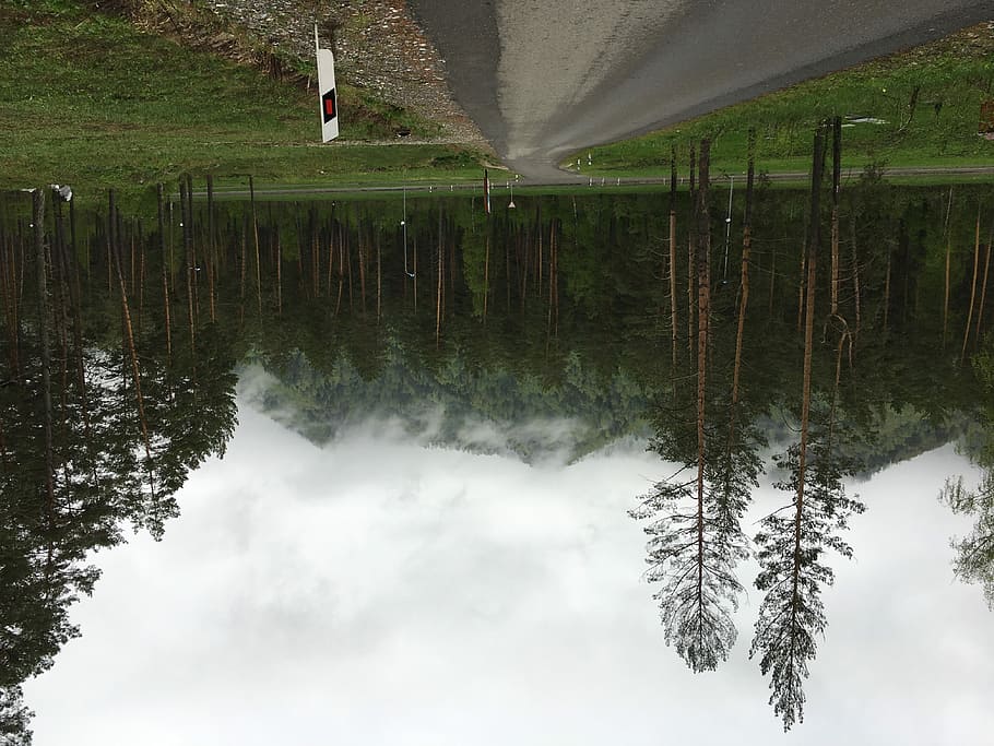 Bäume neben der Straße, Baum, Pfad, Berg, hoch, Zeichen, draussen, Natur, Straße, Kiefer, düster, nebelig, Nebel, Überschneidung, Straßenschild, Pflanze, Wasser, Szenen - Natur, Schönheit in der Natur, Reflexion, Ruhe, See, ruhige Szene, Land, Nicht-städtische Szene, keine Leute, grüne Farbe, Wachstum, Tag, Umgebung, Landschaft, draußen, 4K