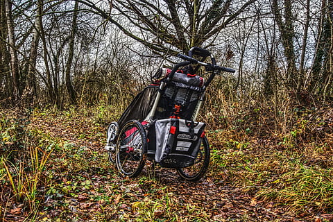 les, běhání, běh, buggy, kočárek, kolo přívěs, volný čas, Příroda, Procházka, hnutí, turistika, dobrodružství, podzim, zimní, listy, hdr, s vysokým dynamickým rozsahem, chariot, strom, rostlina, přistát, způsob dopravy, pozemního vozidla, přeprava, pole, stacionární, den, nikdo, holý strom, venku, jízdní kolo, mimoměstské scény, cestovat, parkoviště, růst, 5K, CC0, veřejná doména, bez autorských práv