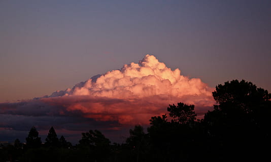 bayangan hitam, pohon, keemasan, jam, laut, awan, matahari terbenam, cloudscape, senja, pemandangan, cloud fluff, hari yang mendung, alam, siluet pohon, cahaya, melihat, panorama, Latar Belakang, Desktop, wallpaper, langit, keindahan di alam, scenics - alam, awan - langit, tidak ada orang, menanam, ketenangan, di luar rumah, pembakaran, lingkungan Hidup, adegan yang tenang, gunung, langit yang dramatis, adegan non-urban, 5K, CC0, domain publik, bebas royalti