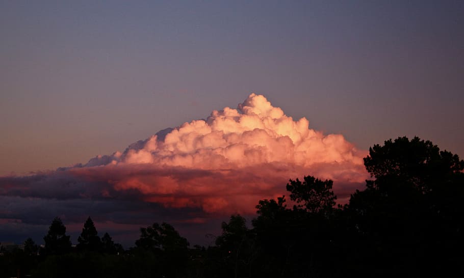 silhuet, træer, gylden, time, hav, skyer, solnedgang, cloudscape, skumring, landskab, sky fluff, skyet dag, natur, træ, træ silhuet, lys, udsigt, panoramisk, baggrund, desktop, tapet, Sky, himmel, skønhed i naturen, scenics - natur, sky - himmel, ingen mennesker, plante, ro, udendørs, brænding, miljø, rolig scene, bjerg, dramatisk himmel, ikke-urbane scene, 5K