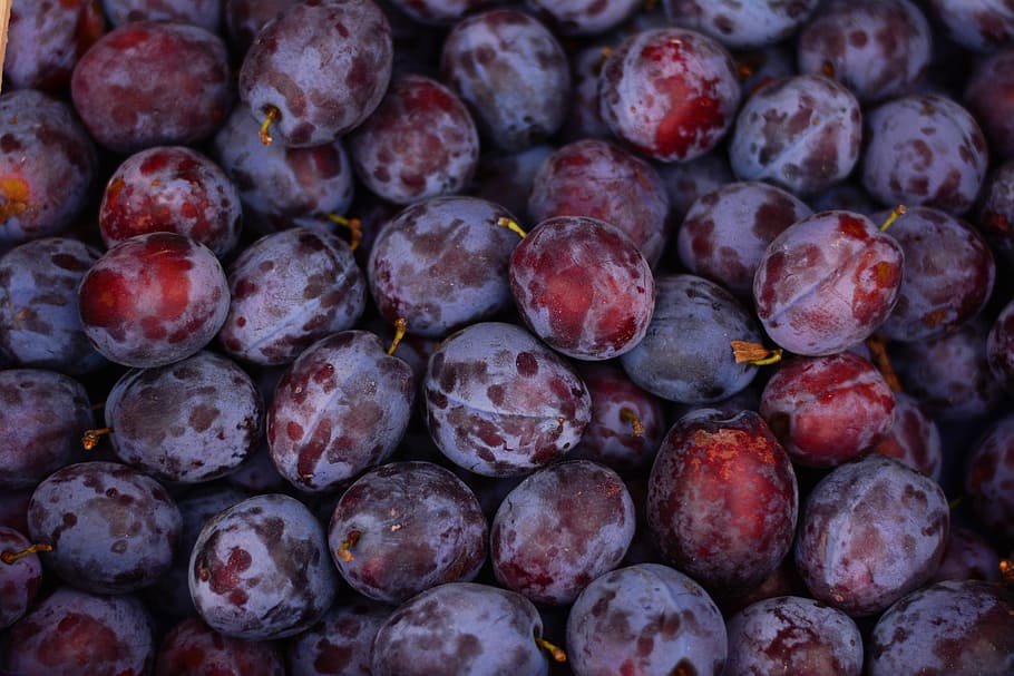 grapat de fruites, prunes, fruita, madur, violeta, fruites, pruna, vitamines, alimentació saludable, menjar i beguda, menjar, benestar, marc complet, frescor, fons, gran grup d'objectes, fruites de baies, cap gent, abundància, primer pla, natura morta, orgànic, vermell, mercat, repetició, antioxidant, porpra, 5K