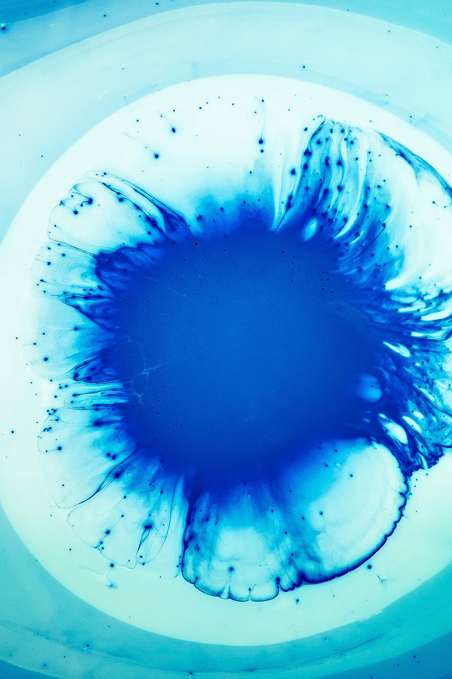 detailní, fotografie, bílý, malovat, pokles, modrý, voda, vzor, textura, abstraktní, splash, vír, tapeta na zeď, Zkusenosti, nádech, aqua, tyrkysový, nebe, atom, detail, nikdo, uvnitř, pozadí, stálý život, celý rám, vysoký úhel pohledu, vybavení domácností, makro, jídlo a pití, extrémní detail, přímo nad, Příroda, bublina, design, 4K