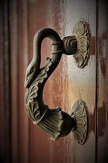 vieille porte, vieux, contribution, porte, entrée, Sécurité, protection, bouton, métal, fermer, poignée de porte, bois - matériau, personne, conception, fermer à clé, heurtoir de porte, fermé, porte d'entrée, à l'intérieur, orné, appartement, 5K, CC0, domaine public, libre de droits