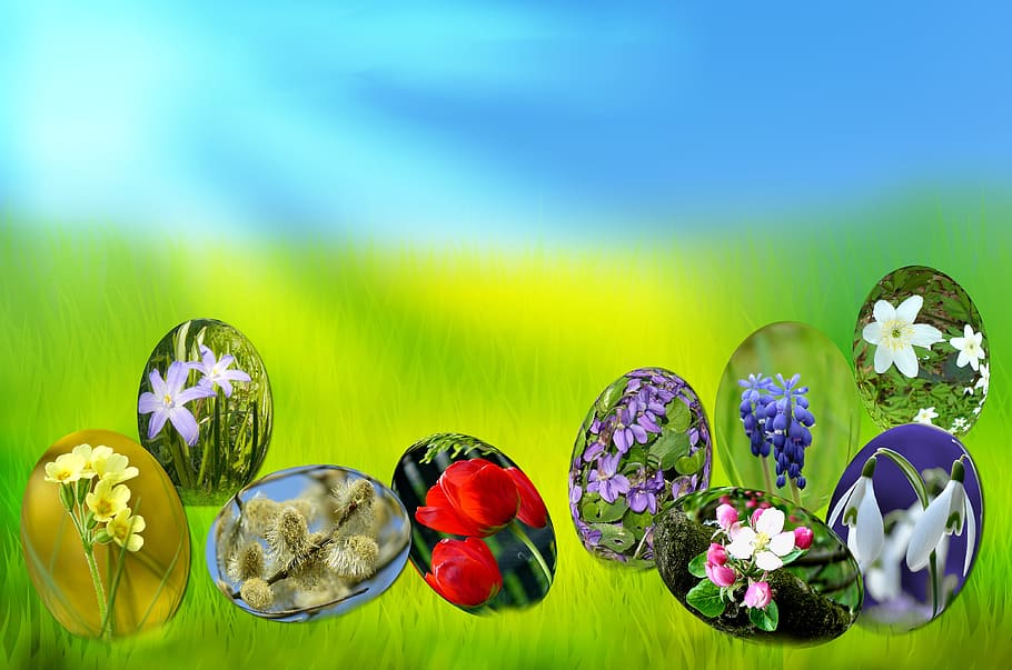 ous de Pasqua, primavera, sol, herba, verd, Pasqua, ous, herba, verd, cel, blau, llum, tulipa, violeta, muscari, snowdrop, anemone, salze, flor de poma, florint, fuet, flors, fullatge, prat, naturalesa, flor, cap gent, color verd, multicolor, bellesa a la natura, planta amb flors, planta, frescor, primer pla, fons de colors, natura morta, a l'interior, fragilitat, vulnerabilitat, elecció, variació, groc, tir de l'estudi, cap de flor, brillant, porpra, luxe, arranjament floral, 4K