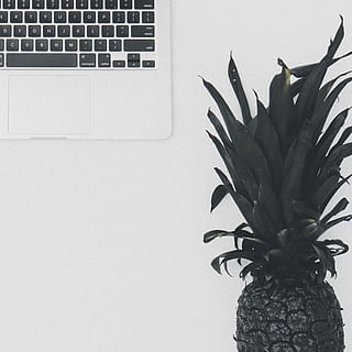 pineapple, dessert, appetizer, fruit, juice, crop, black, white, laptop, macbook, indoors, computer, technology, plant, keyboard, no people, wireless technology, computer keyboard, communication, table, connection, computer equipment, close-up, copy space, wall - building feature, potted plant, home interior, leaf, houseplant, 2K, CC0, public domain, royalty free