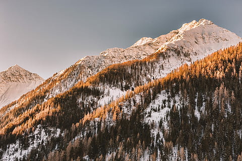 góra pokryta drzewami, antenowy, fotografia, Góra, pokryty, śnieg, krajobraz, drzewa, las, treeline, drzewo, scenics - natura, zimna temperatura, zimowy, drzewo iglaste, środowisko, sosna, piękno natury, lasy sosnowe, roślina, pinaceae, wylądować, Natura, niebo, ośnieżona góra, żadnych ludzi, szczyt górski, wiecznie zielone drzewo, lesisty teren, na dworze, 5K, CC0, domena publiczna, darmowe zdjęcia