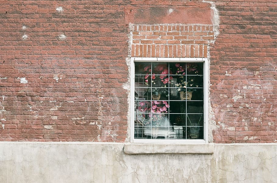hvid, vindue, lyserød, blomster, dagtimerne, bygning, mursten, væg, struktur, hus, ydre, bopæl, lejlighed, murværk, arkitektoniske, karmen, planter, murstens væg, arkitektur, bygget struktur, dag, bygning udvendig, murbygningsfunktion, glas - materiale, ingen mennesker, udendørs, gennemsigtig, rød, fuld ramme, afspejling, boligområde, baggrunde, glas, vinduesramme, 2K