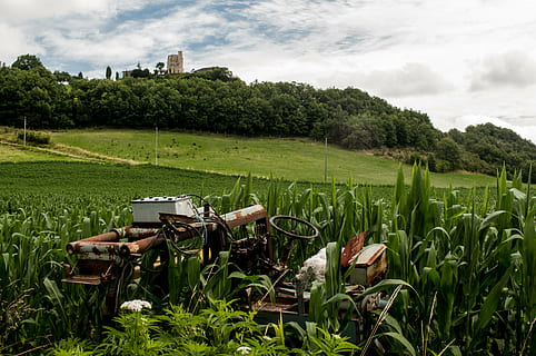 green, plants, daytime, brown, tractor, corn, field, broken, rust, fields, leaves, trees, landscape, country, rural, agriculture, farm, green color, grass, growth, rural scene, tree, cloud - sky, plant, land, nature, sky, no people, crop, day, environment, beauty in nature, machinery, outdoors, 4K, CC0, public domain, royalty free