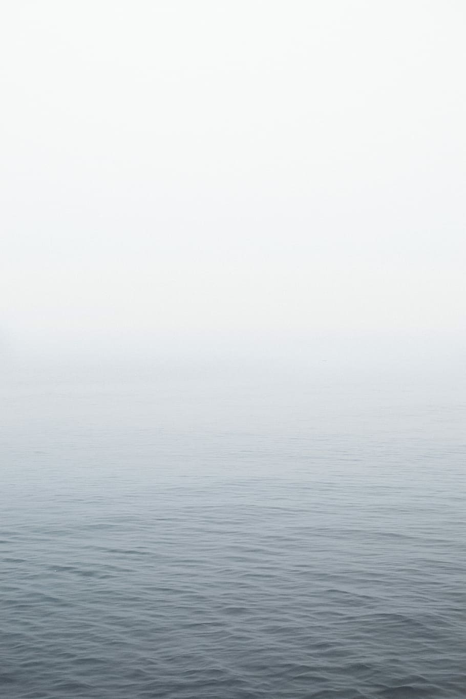 cos d'aigua, oceà fosca, blanc, núvol, mar, oceà, aigua, cap gent, tranquil·litat, còpia espai, boira, bellesa a la natura, fons, reflexió, escena tranquil·la, naturalesa, escenics - natura, cel, gris, ondulat, medi ambient, a l'aire lliure, resum, efecte texturat, fons abstractes, color plata, 5K