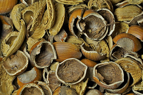 nutshells, hazelnut, almond, nut, eat, brown, food, tasty, healthy, hazelnuts, tree fruit, breaking up, nutcracker, crack, background, noise almond, cracked, full frame, large group of objects, backgrounds, no people, abundance, wood - material, stack, still life, shape, close-up, indoors, heap, food and drink, textured, day, group, high angle view, tree, wood, 5K, CC0, public domain, royalty free