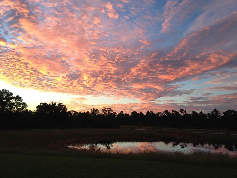 tramonto, florida, raggi, rosa, tramonto, Florida, cielo, natura, paesaggio, albero, all'aperto, crepuscolo, Paesaggi, nuvola - cielo, acqua, lago, bellezza nella natura, riflessione, scena tranquilla, luce del sole, sole, colore arancione, estate, Cloudscape, alba, alba - alba, la tranquillità, scenics - natura, pianta, nessuno, scena non urbana, terra, ambiente, idilliaco, campo, 2K