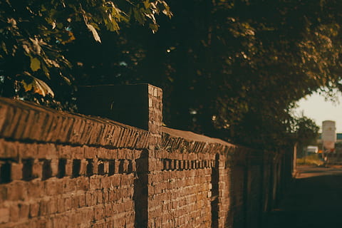 brick, wall, old, aged, brickwork, ancient, trees, exterior, weathered, retro, brickwall, architecture, tree, plant, nature, no people, focus on foreground, day, built structure, wall - building feature, outdoors, sunlight, selective focus, history, the past, close-up, brick wall, building exterior, retaining wall, stone wall, 2K, CC0, public domain, royalty free