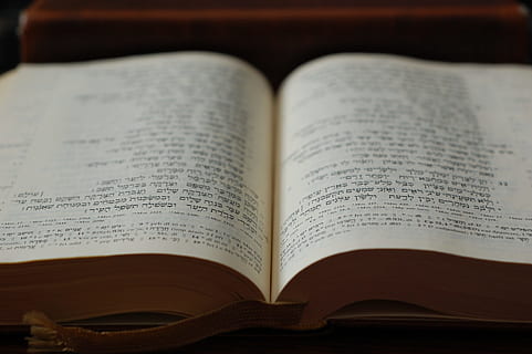 bíblia, hebreu, llibre, Escriptura, text, obert, pàgina, espiritualitat, religió, paper, publicació, a l'interior, primer pla, vell, comunicació, cap gent, música, absència, cultura i entreteniment artístic, saviesa, experiència, enfocament selectiu, educació, antiguitat, 2K, CC0, domini públic, lliure de regalies