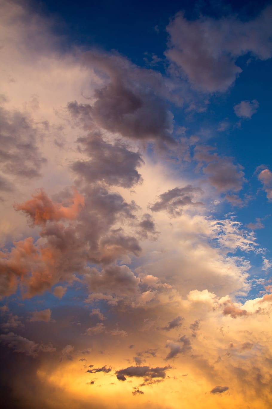 cel, daurat, hores, núvols, aire, tempesta, taronja, blau, cel blau, núvol, cels, imminent, núvol - cel, bellesa a la natura, escenics - natura, vista d’angle baix, posta de sol, tranquil·litat, naturalesa, escena tranquil·la, cap gent, color taronja, idíl·lic, cloudscape, llum solar, fons, a l'aire lliure, cel dramàtic, medi ambient, meteorologia, 1080P