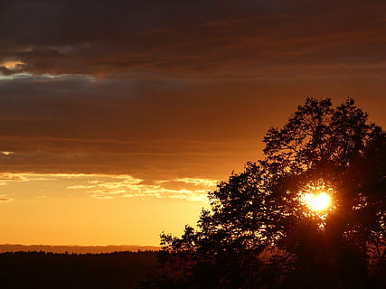 puesta de sol, noche, oscuro, naranja, naturaleza, Dom, luz del sol, árbol, al aire libre, cielo, oscuridad, amarillo, paisaje, amanecer - amanecer, color naranja, verano, belleza en la naturaleza, paisajes - naturaleza, planta, tranquilidad, escena tranquila, nube - cielo, silueta, idílico, nadie, escena no urbana, crecimiento, cielo dramático, 4K, CC0, dominio público, libre de derechos
